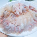 삼천포회센타 이미지