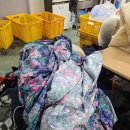 크린특수세탁 이미지