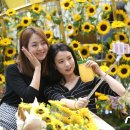 진흥꽃화원 이미지