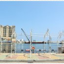 대포항회집 이미지