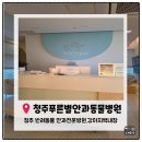 푸른동물병원 | [청주동물병원추천]청주 푸른별안과동물병원 강아지 안과검진 내돈내산 이용후기