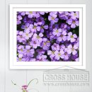 가로세로 이미지