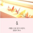 운이좋아 이미지
