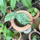 우성농원 이미지