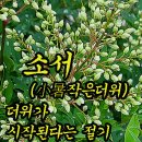 20260707(화) 소서-금년 처음 에어컨 이미지