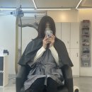 모리헤이즈 | 홍대 연남동 미용실 '모리헤이즈' 중단발 씨컬펌 후기!