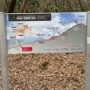 [제주 여행] 누워만 있는 체력저질 집순이의 4월초 한라산 등반 후기