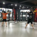 조대체육관 이미지