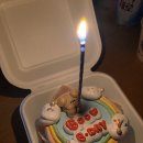 매산프라자 | [수원/매산] 해피베어데이 AK플라자 수원, 귀여운 레터링 도시락 케이크ㅣ예약 후기