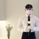 중마애견 | 순천 여수 애견장례식장, 푸른솔 25년 09월 네이버 장례 후기