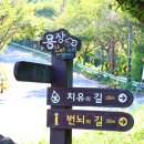 용장마을 용장사 이미지