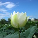 마음의 양식 이미지