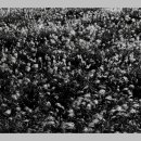 강변로2(서) 이미지