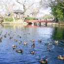 원앙파크 이미지