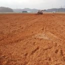 정원2농장 이미지