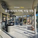 미지하우스 | 울산 미지의 카페 정원 예약 입장료 메뉴 가격 내부 후기