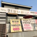 큰!코다리연구소