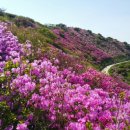 의령-의령-의령-D-1 이미지