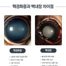 24시 스탠다드 동물의료센터 이미지