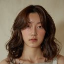 라무드헤어 이미지