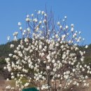 경인무예원 이미지