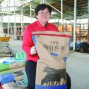 장완자농장 이미지