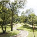 푸른숲가든 이미지