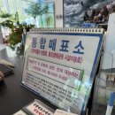영월곤충박물관 | 아기랑영월 오면 여기 가봐야죠 곤충박물관 방문 후기