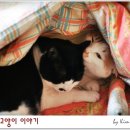 이불이야기 - 울진군 평해로 71-1 | 이불이야기