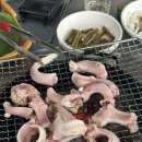 태영생막창곰장어 이미지