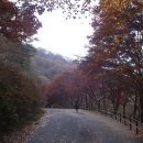 토끼의 점심 Daum카페