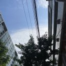전주 중화산동 변기막힘 변비변 막혔을 때 24시 뚫는 업체