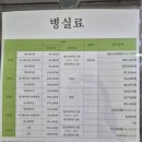 부천서울어린이병원 | 단순감긴줄알았다가 RSV바이러스 폐렴으로 부천서울어린이병원 4박5일 3인실 입원 (잠복기 증상, 병원비...