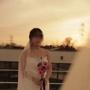 D18 | D18_뷰시엘 스튜디오 슬림드레스 촬영후기
