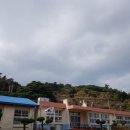 시산이드레 이미지