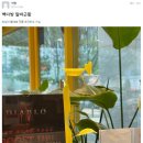 보배다방 이미지