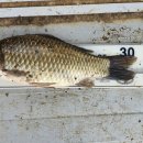 수신낚시터 이미지