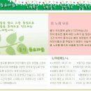 풀잎마을 이미지