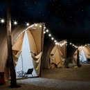 소나무세상 이미지