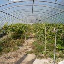 앞동산농장 이미지