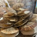 수원-0607 이미지