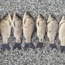 성호낚시터 이미지