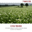 하례1리 농어촌체험휴양마을 | 9월 제주도 가볼만한곳 어디가 있을까?