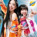 광동제약 이미지