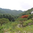 용문산야생화마을 이미지