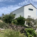 느릅낭집 이미지