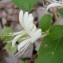 (주)인동 이미지