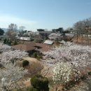 혜림원 이미지