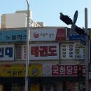 국화아파트(501동) 네이버블로그