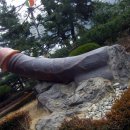 신남3공원 이미지